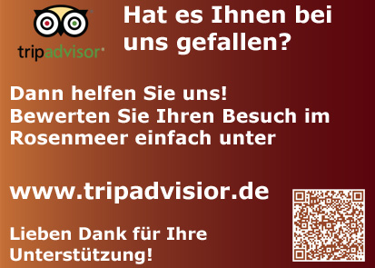 Tripadvisior-Bewerten-Sie-u